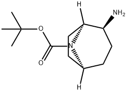 tert-butyl (1S,2S,5S)-2-amino-8-azabicyclo[3.2.1]octane-8-carboxylate Struktur