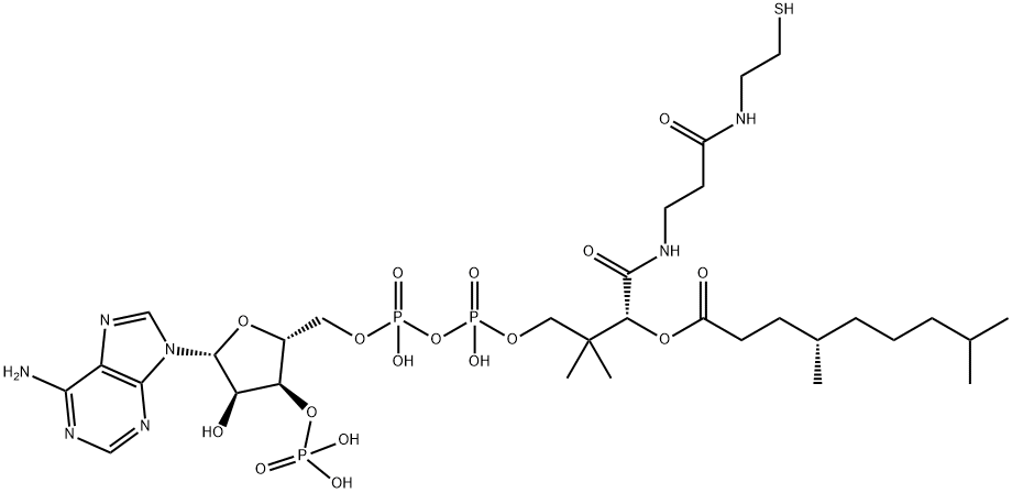 4,8-Dimethylnonanoyl-CoA Struktur