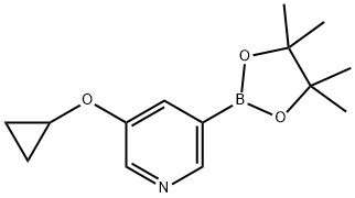 Pyridine, 3-(cyclopropyloxy)-5-(4,4,5,5-tetramethyl-1,3,2-dioxaborolan-2-yl)- Struktur