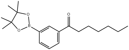 1-[3-(4,4,5,5-tetramethyl-1,3,2-dioxaborolan-2-yl)phenyl]heptan-1-one Struktur