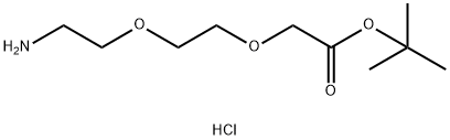 8-Amino-3,6-dioxaoctanoic acid t-butyl ester hydrochloride Struktur