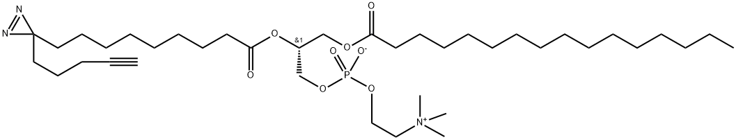 3,5,9-Trioxa-4-phosphapentacosan-1-aminium, 4-hydroxy-N,N,N-trimethyl-10-oxo-7-[[1-oxo-9-[3-(4-pentyn-1-yl)-3H-diazirin-3-yl]nonyl]oxy]-, inner salt, 4-oxide, (7R)- Struktur