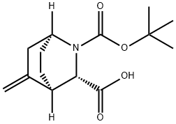 2-Azabicyclo[2.2.2]octane-2,3-dicarboxylic acid, 5-methylene-, 2-(1,1-dimethylethyl) ester, (1S,3S,4R)- Struktur