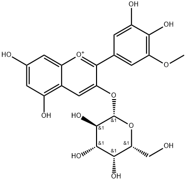 1-Benzopyrylium, 2-(3,4-dihydroxy-5-methoxyphenyl)-3-(β-D-galactopyranosyloxy)-5,7-dihydroxy-|牽?；ㄋ?3-O-半乳糖苷