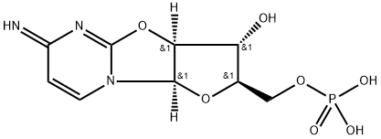 Cyclo-CMP Struktur