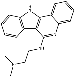 IQDMA Struktur