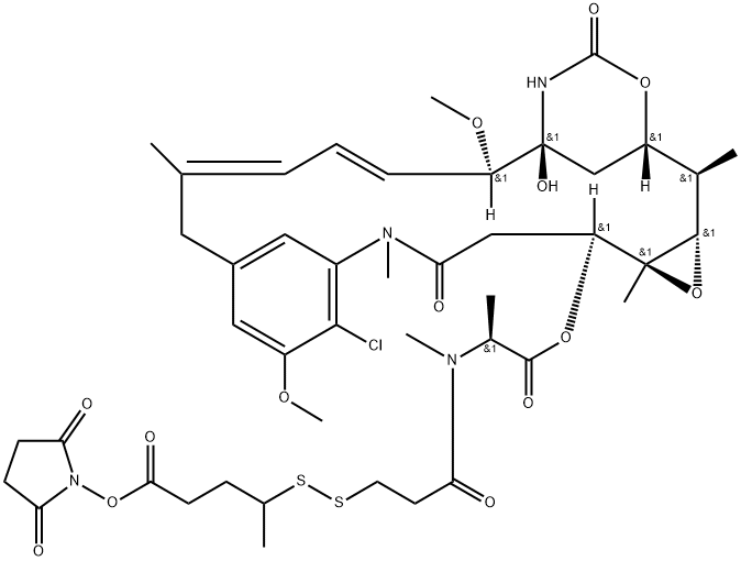 DM1-SPP Struktur