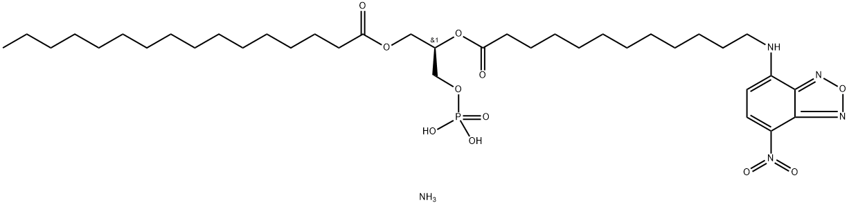  化學(xué)構(gòu)造式