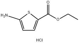 Ethyl 5-aminothiophene-2-carboxylate hydrochloride Struktur