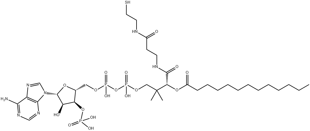 Coenzyme A, S-tridecanoate Structure