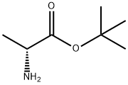 tert-Butyl (2R)-2-Aminopropanoate Struktur