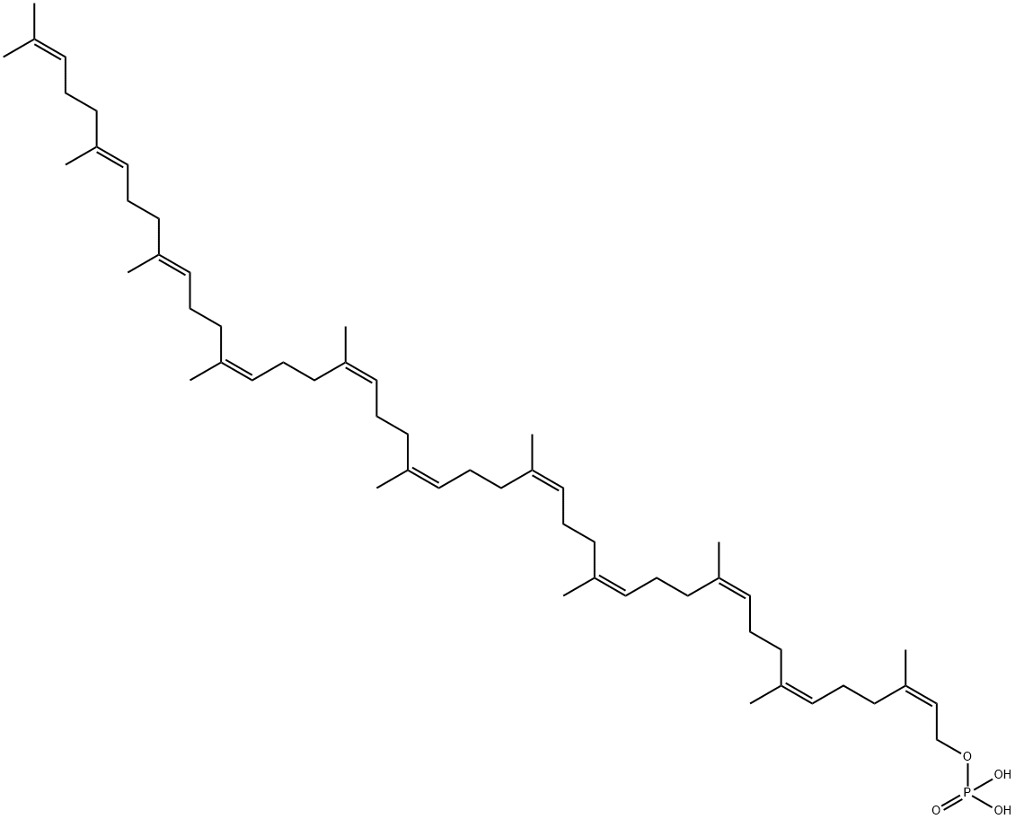 2,6,10,14,18,22,26,30,34,38,42-Tetratetracontaundecaen-1-ol, 3,7,11,15,19,23,27,31,35,39,43-undecamethyl-, 1-(dihydrogen phosphate), (2Z,6Z,10Z,14Z,18Z,22Z,26Z,30Z,34E,38E)- Struktur