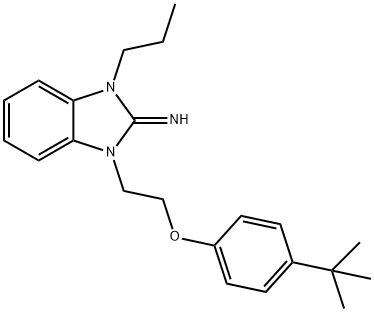 1-[2-(4-tert-butylphenoxy)ethyl]-3-propyl-1,3-dihydro-2H-benzimidazol-2-imine Struktur