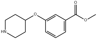 methyl 3-(piperidin-4-yloxy)benzoate Struktur