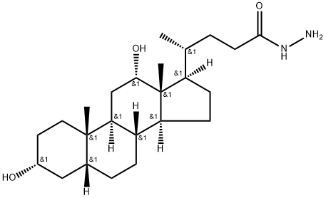 Hydrazine amide of deoxycholic acid Struktur