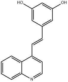 RV01 Struktur