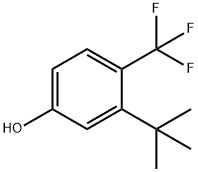 Phenol, 3-(1,1-dimethylethyl)-4-(trifluoromethyl)- Struktur