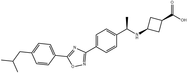 PF 991 Structure