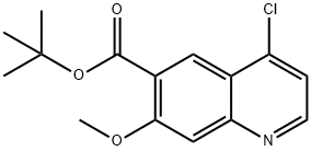 tert-butyl 4-chloro-7-methoxyquinoline-6-carboyxlate Struktur