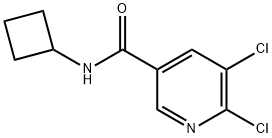 5,6-Dichloro-N-cyclobutylnicotinamide Struktur