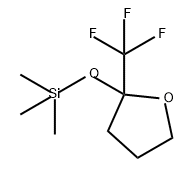 Furan, tetrahydro-2-(trifluoromethyl)-2-[(trimethylsilyl)oxy]- Struktur