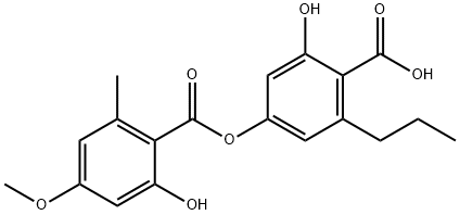  化學(xué)構(gòu)造式