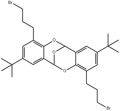 APM-JEM-Int-6 Struktur