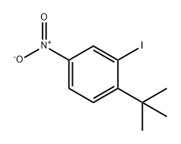 Benzene, 1-(1,1-dimethylethyl)-2-iodo-4-nitro- Struktur