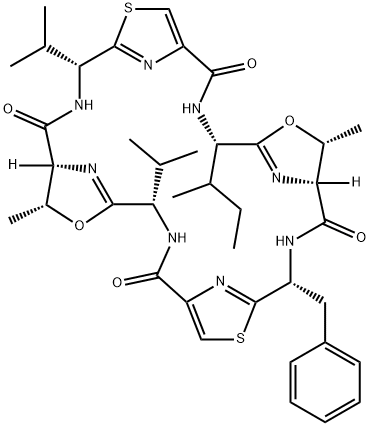 patellamide E Struktur