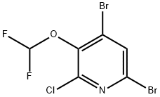 4,6-Dibromo-2-chloro-3-(difluoromethoxy)pyridine Struktur