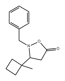 5-Isoxazolidinone, 3-(1-methylcyclobutyl)-2-(phenylmethyl)- Struktur