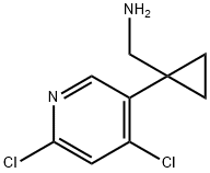 Cyclopropanemethanamine, 1-(4,6-dichloro-3-pyridinyl)- Struktur