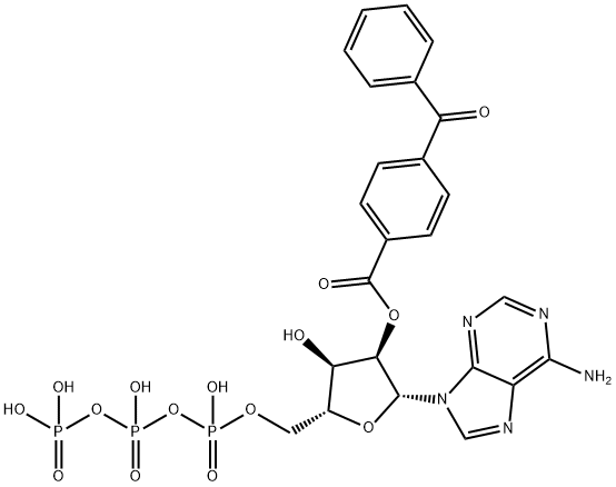 Adenosine 5'-(tetrahydrogen triphosphate), 2'-(4-benzoylbenzoate) Struktur