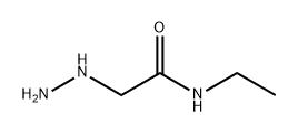 Acetamide, N-ethyl-2-hydrazinyl- Struktur