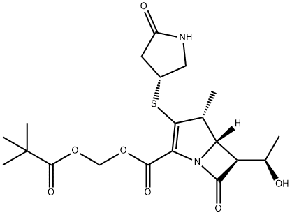 CS 834