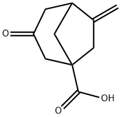 6-Methylene-3-oxobicyclo[3.2.1]octane-1-carboxylic acid Struktur