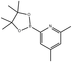 2,4-DIMETHYL-6-(4,4,5,5-TETRAMETHYL-1,3,2-DIOXABOROLAN-2-YL)PYRIDINE Struktur