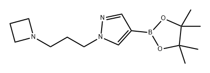 1H-Pyrazole, 1-[3-(1-azetidinyl)propyl]-4-(4,4,5,5-tetramethyl-1,3,2-dioxaborolan-2-yl)- Struktur