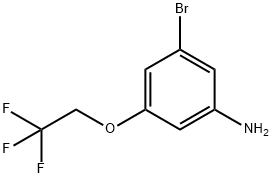 3-Bromo-5-(2,2,2-trifluoroethoxy)aniline Struktur