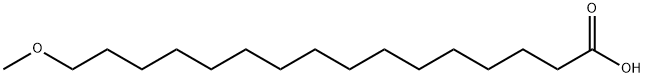 Hexadecanoic acid, 16-methoxy- Struktur