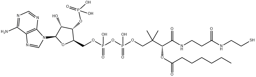 Coenzyme A, S-heptanoate Struktur