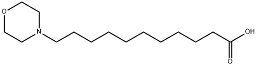 11-Morpholinoundecanoic acid Struktur