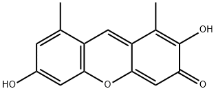 ECHINOTINCTONE Struktur