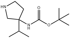 Carbamic acid, N-[3-(1-methylethyl)-3-pyrrolidinyl]-, 1,1-dimethylethyl ester Struktur