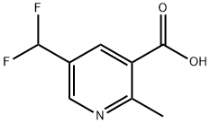 5-(Difluoromethyl)-2-methylpyridine-3-carboxylic acid Struktur