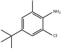 Benzenamine, 2-chloro-4-(1,1-dimethylethyl)-6-iodo- Struktur