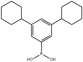 Boronic acid, B-(3,5-dicyclohexylphenyl)- Struktur