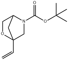 Tert-butyl 1-ethenyl-2-oxa-5-azabicyclo[2.2.1]heptane-5-carboxylate Struktur