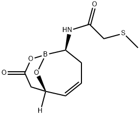 Acetamide, 2-(methylthio)-N-[(2R,6S)-8-oxo-9,10-dioxa-1-borabicyclo[4.3.1]dec-4-en-2-yl]- Struktur