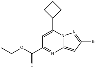 Pyrazolo[1,5-a]pyrimidine-5-carboxylic acid, 2-bromo-7-cyclobutyl-, ethyl ester Struktur